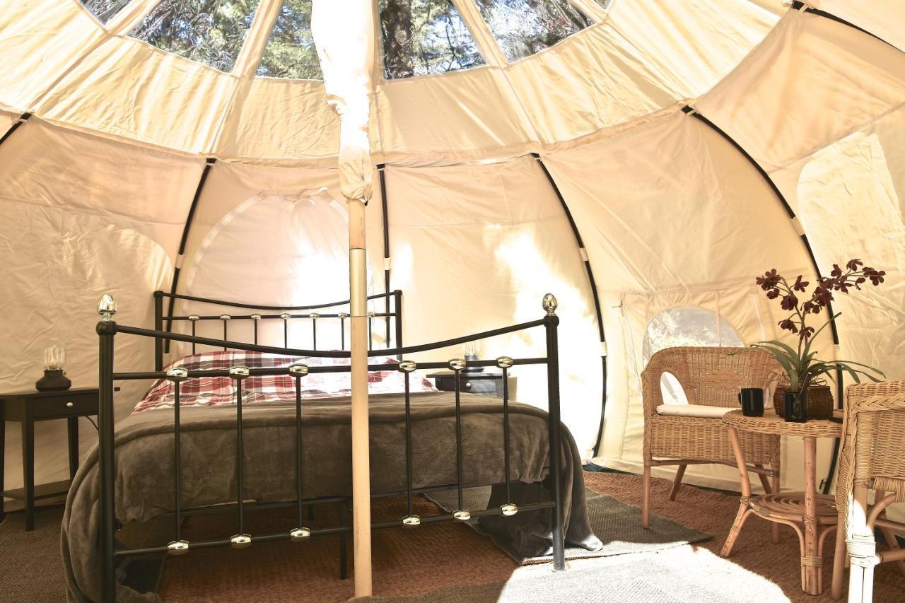 Glamping At Camping La Source Saint-Pierre-d'Argencon Ngoại thất bức ảnh